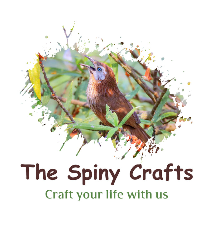How we coined the name -The Spiny Crafts